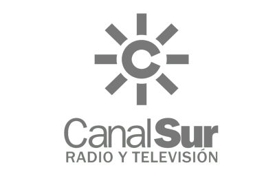 canal sur